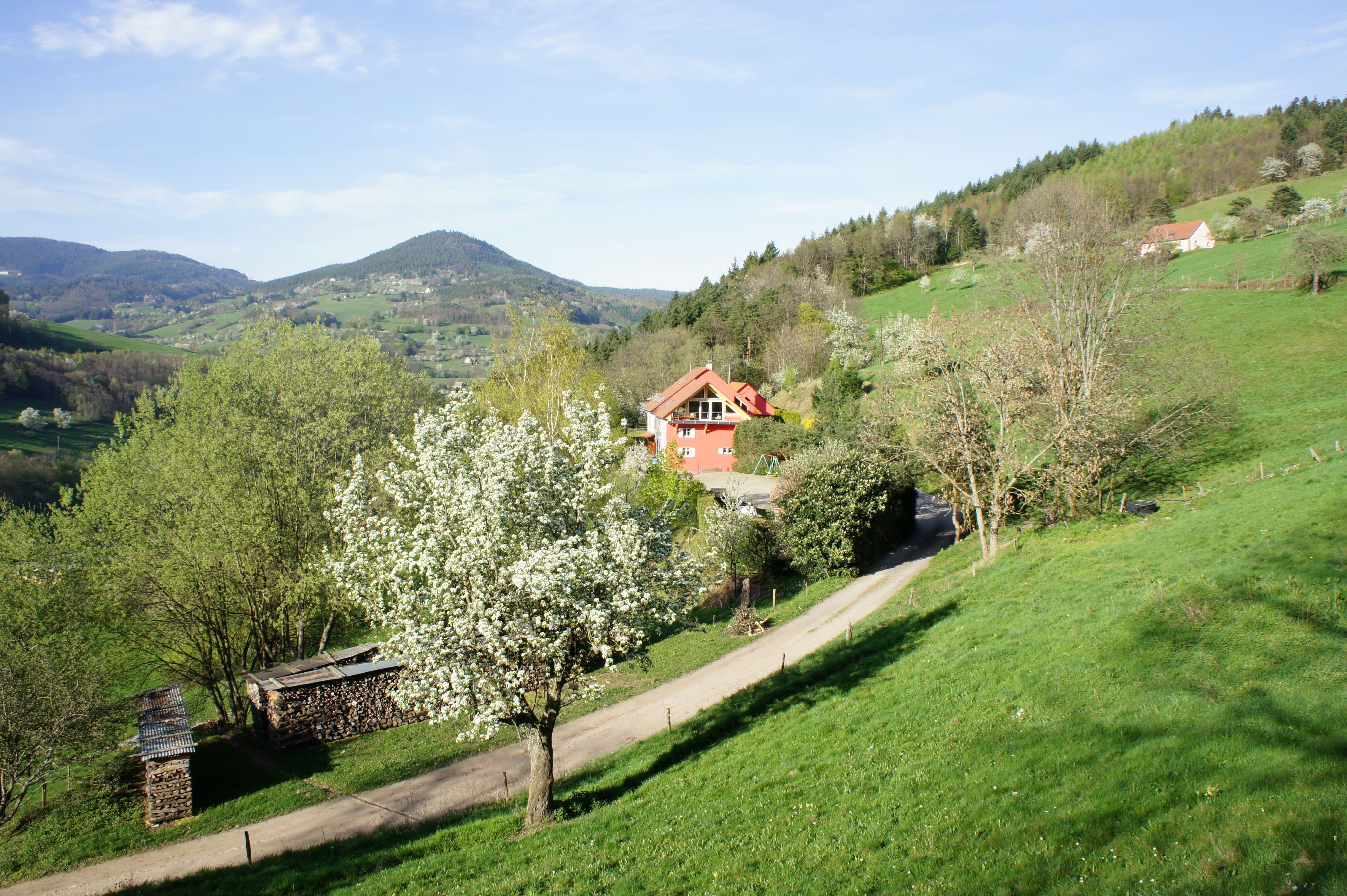Photo n° 5 de la location