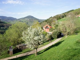 Image n° 5 de la location
