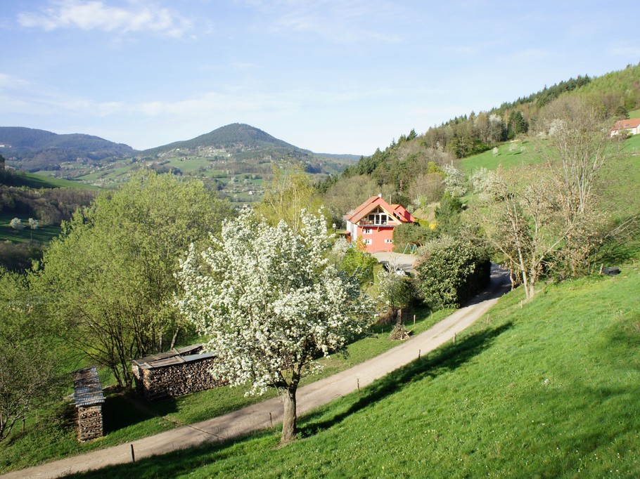 Photo n° 5 de la location