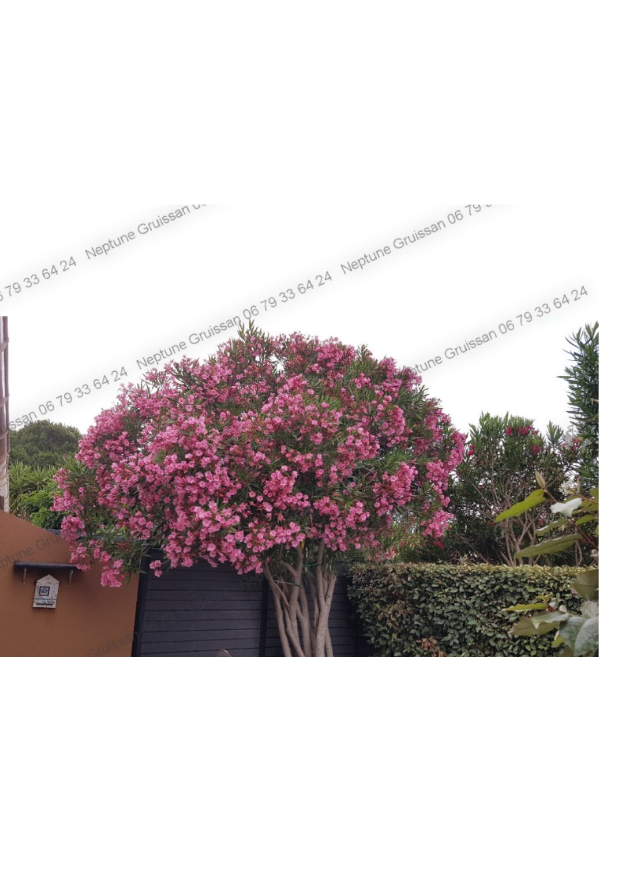 Photo n° 15 de la location