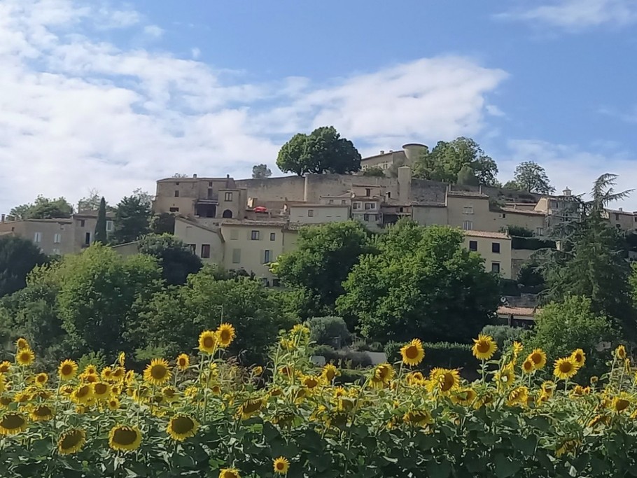 Mane en Provence, village médiéval à 2 km