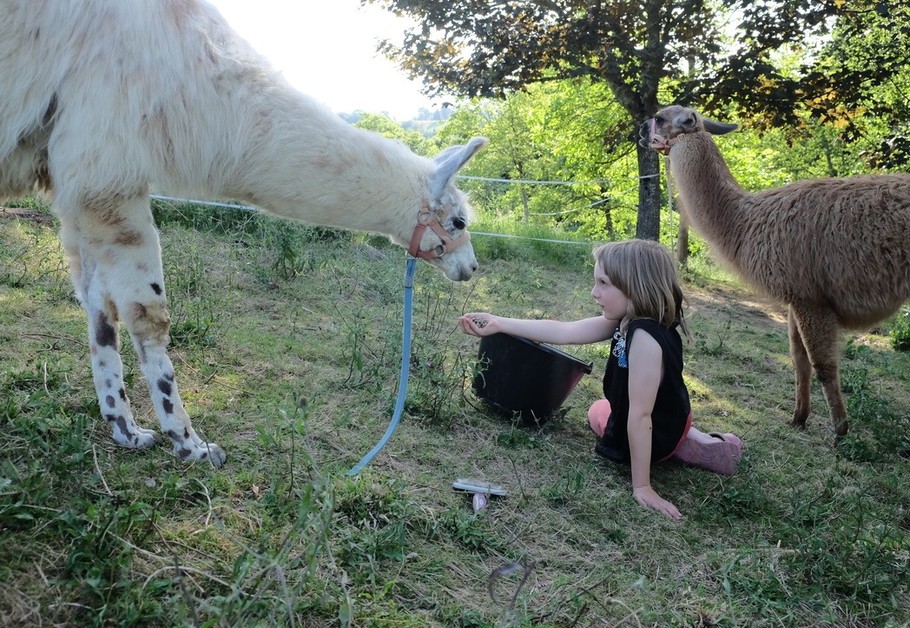 Photo n° 14 of the location