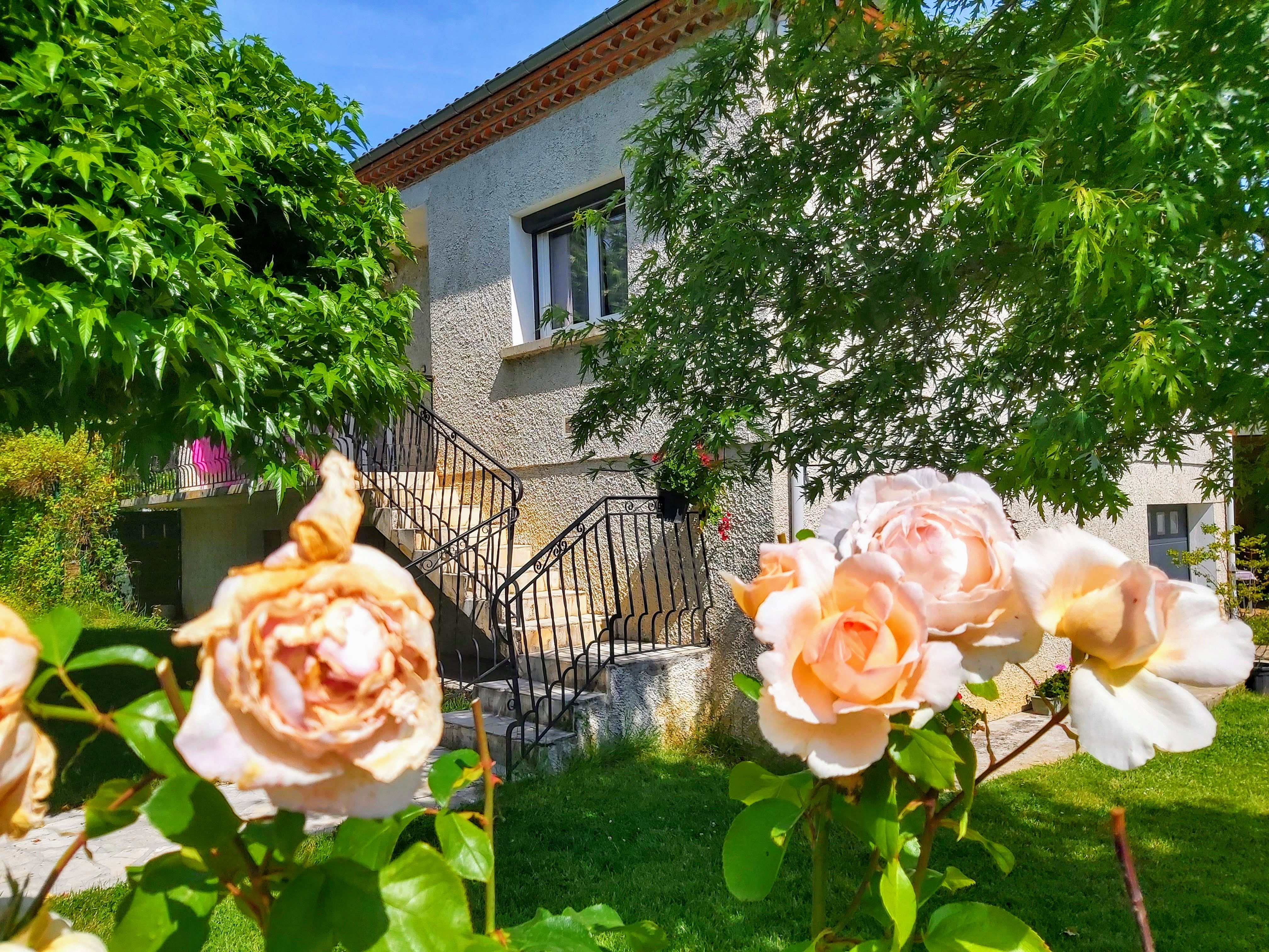 La saison des roses