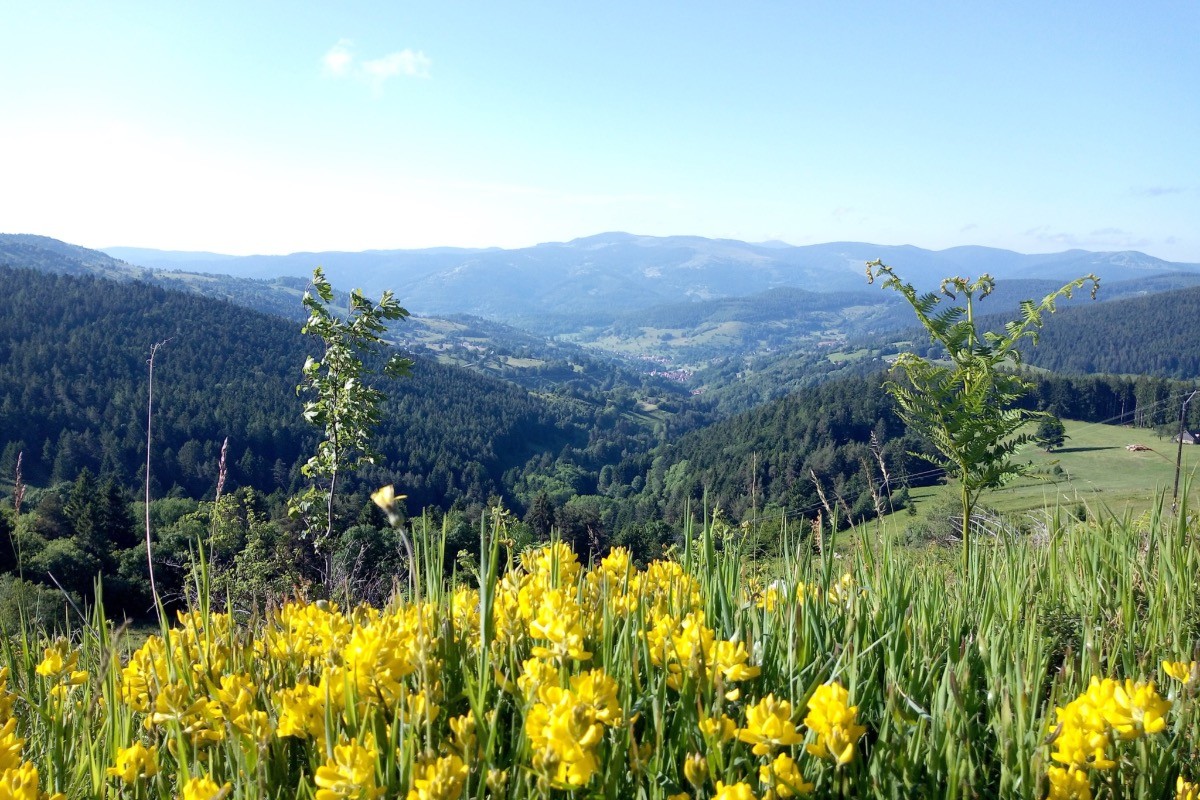 Vallée de Munster