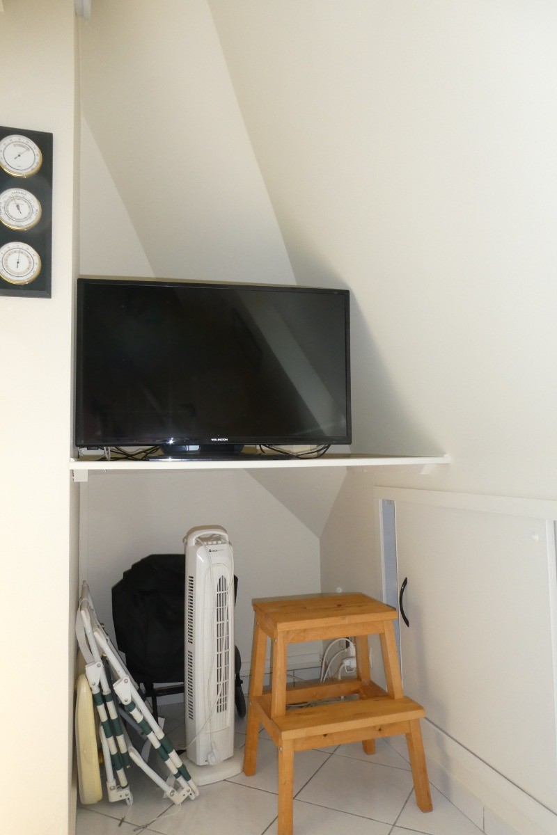 Television