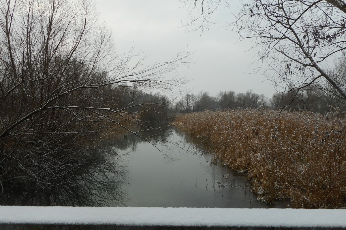 canal du Rhône au Rhin