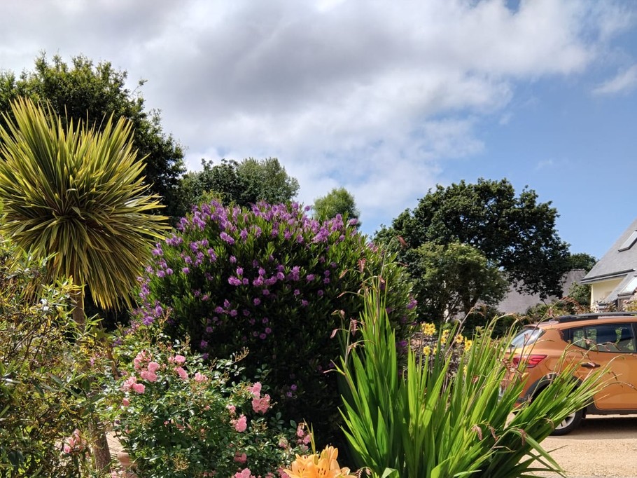 Photo n° 13 de la location