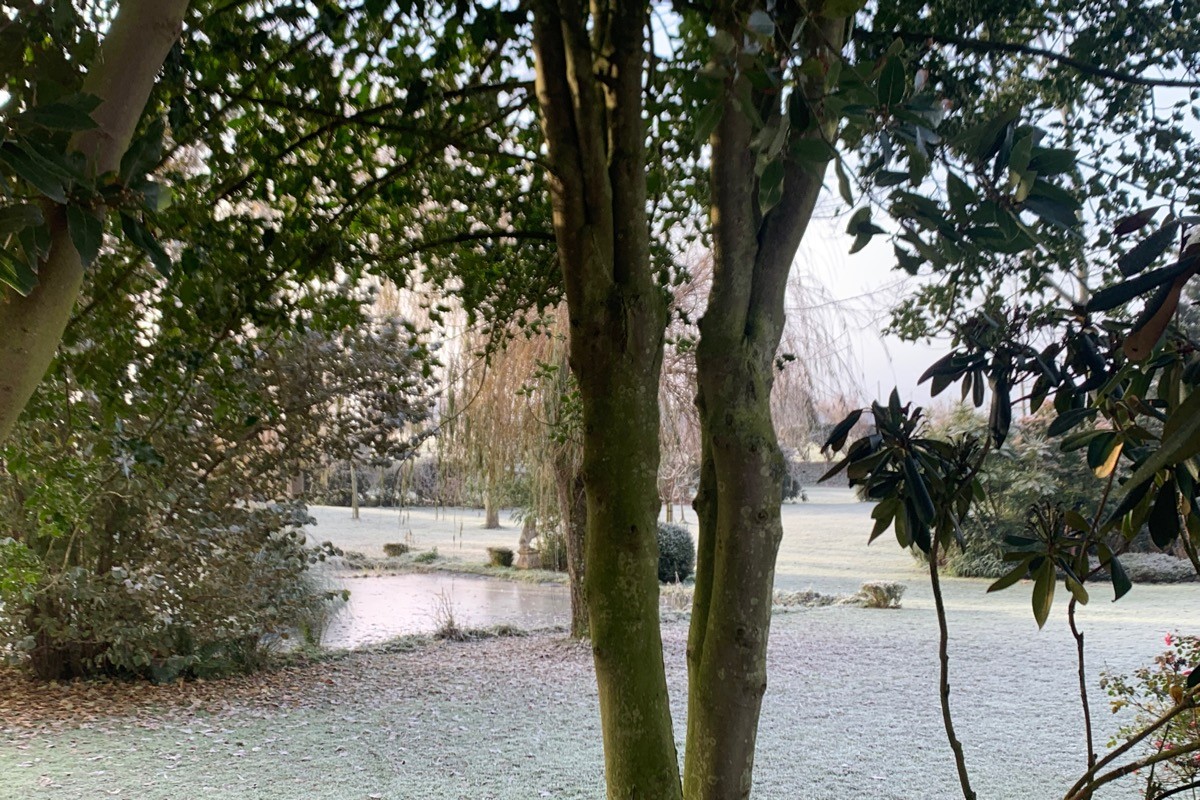 jardin en hiver
