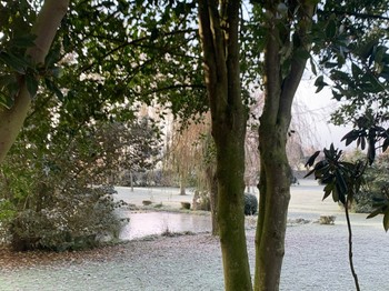 jardin en hiver