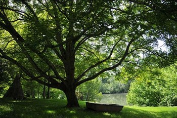 Accès berges du Tarn  - Saint Sulpice - Tarn -