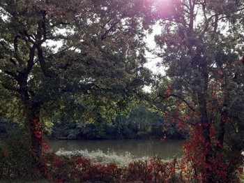 Etang devant la maison