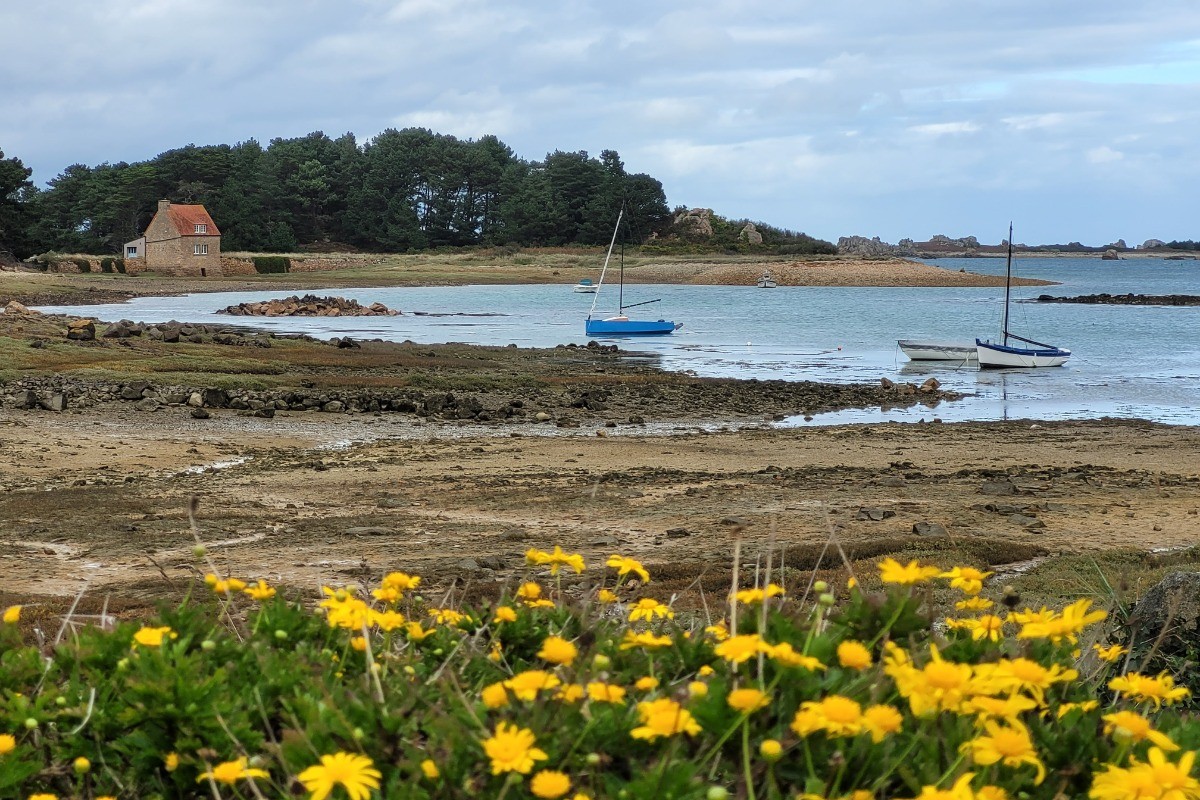 Photo n° 11 de la location