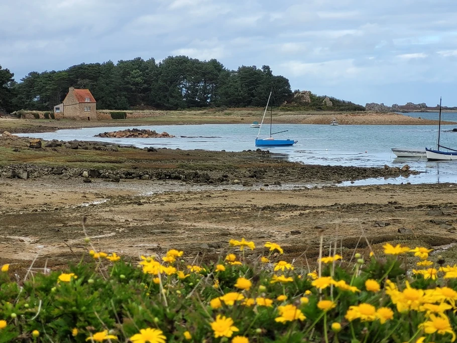 Photo n° 11 de la location