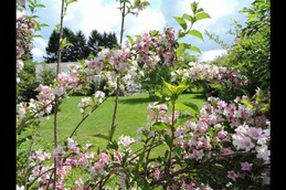 Image n° 3 de la location