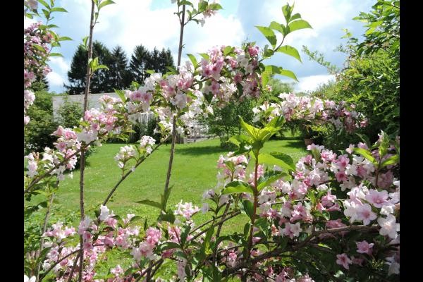 Photo n° 3 of the location