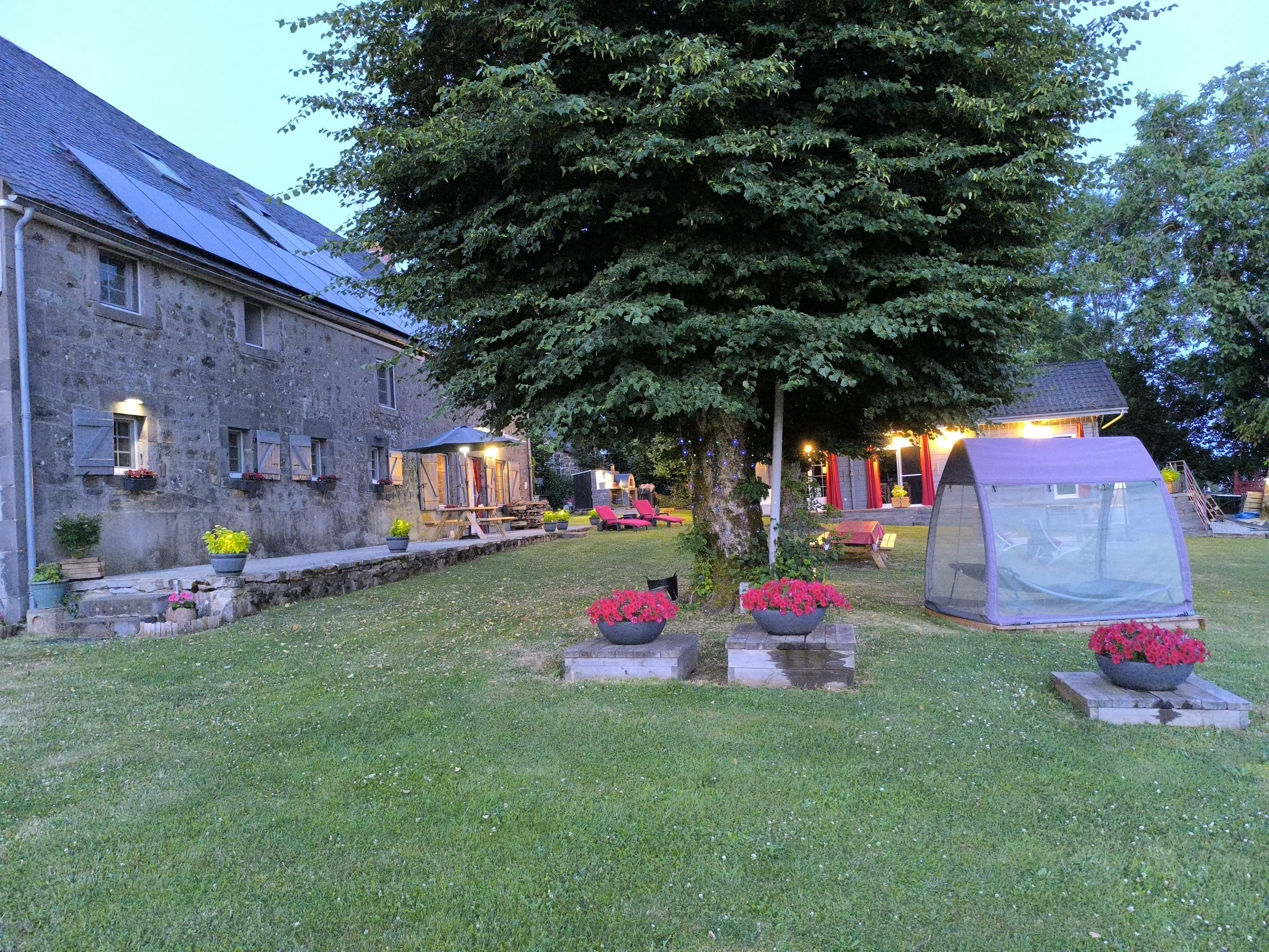 Histoire d'Anges à Singles, prox. Mont-Dore (Massif du Sancy - Extérieur