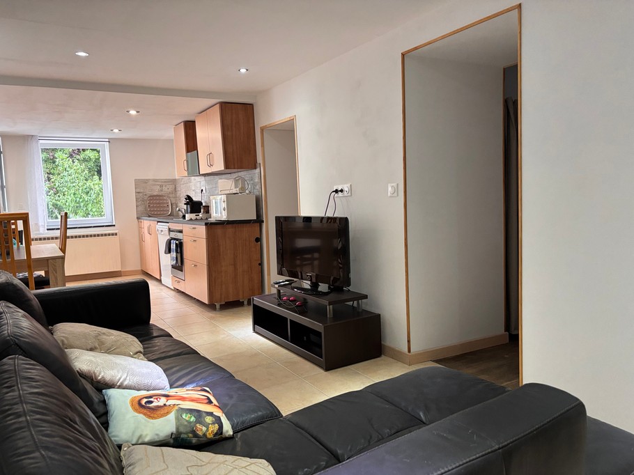 Salon - Appartement familial Begnécourt, Vosges