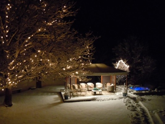 Le jardin en hiver