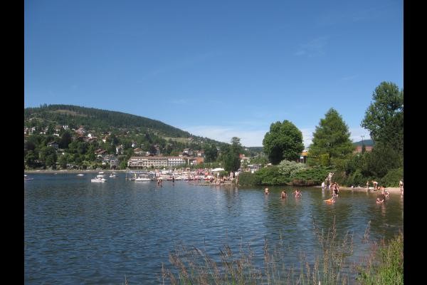 Lac Gérardmer à 5min à pied - Appartement Jaune Jonquille