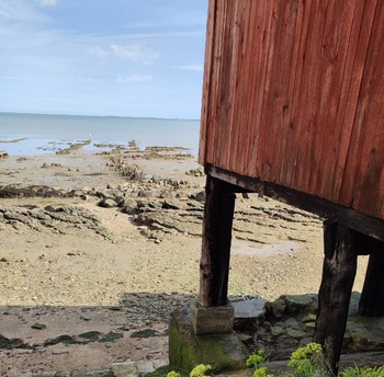 Photo n° 16 de la location