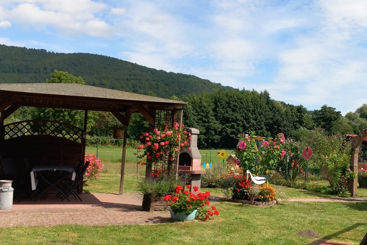 Photo n° 11 of the location