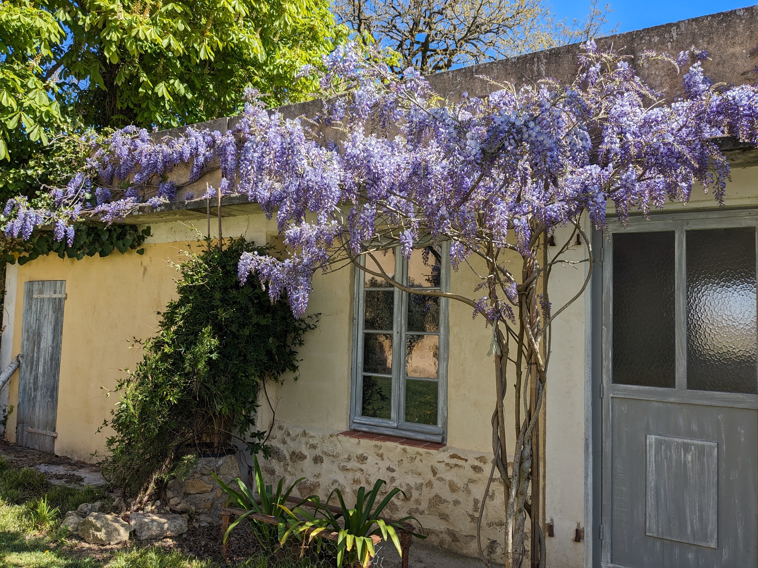 Salle du chêne d'or