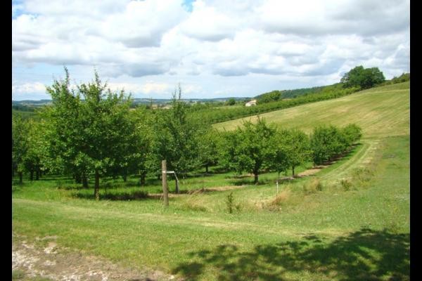 Gîte rural 5 personnes en Lot-et-Garonne