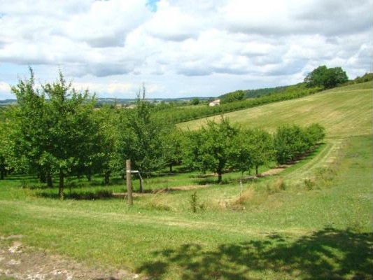 Self-catering cottage for 5 people in Lot-et-Garonne