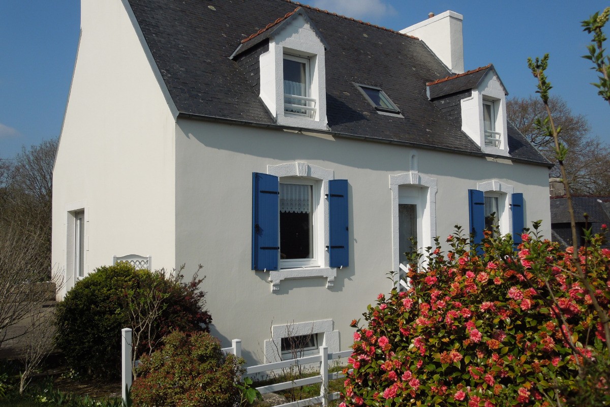 Le jardin du gîte Ty-Héol avec le camélia en fleurs