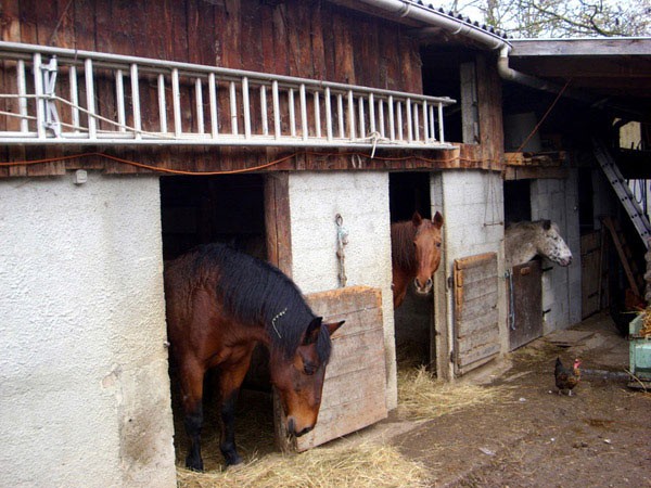 Photo n° 7 of the location