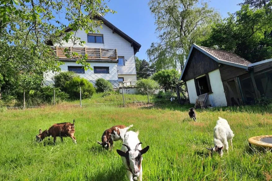 Photo n° 1 of the location