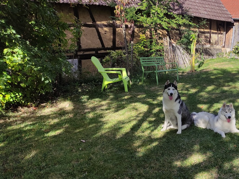 Photo n° 15 of the location