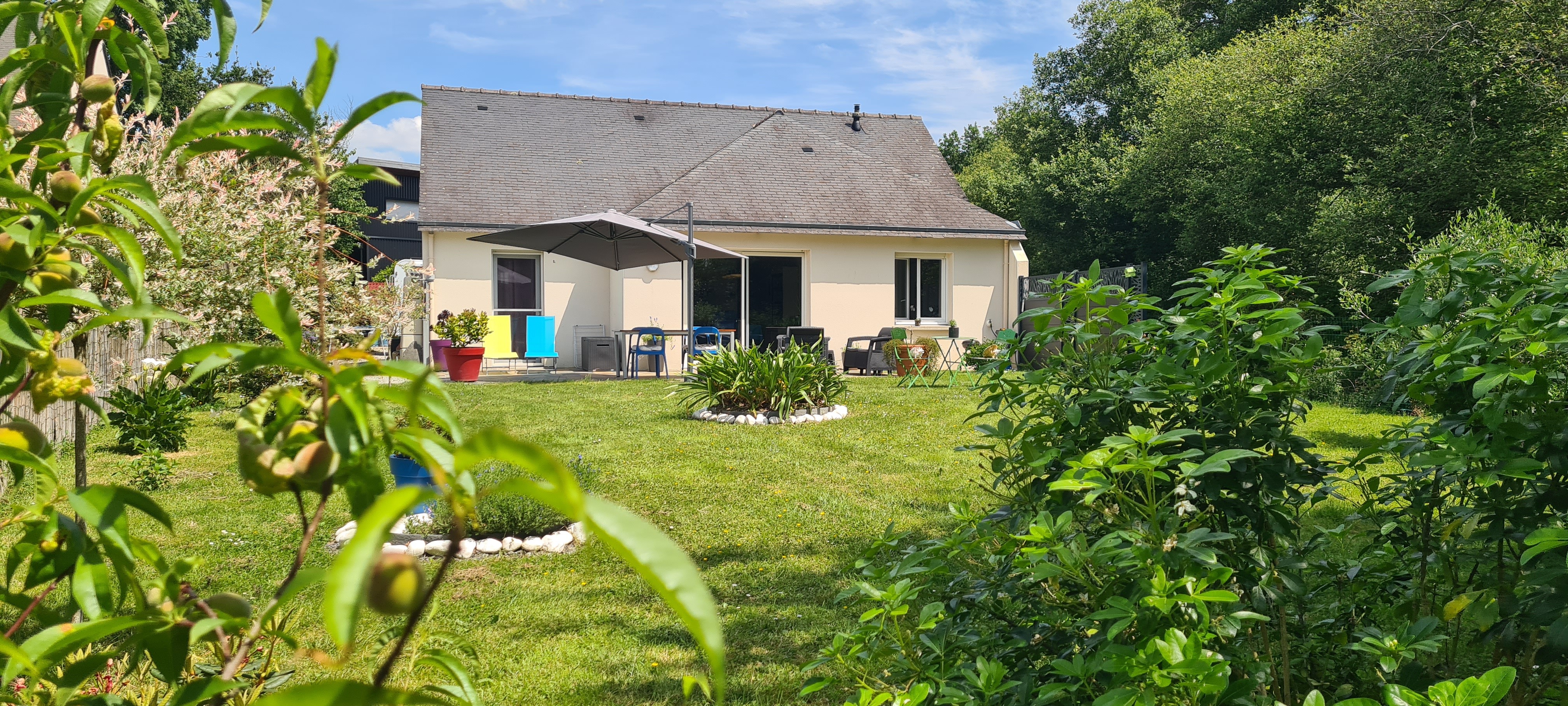 Image n° 1 de la location