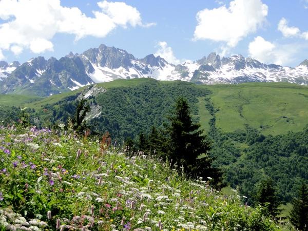 La Lauzière été