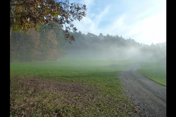 A walk in the vicinity of the gite