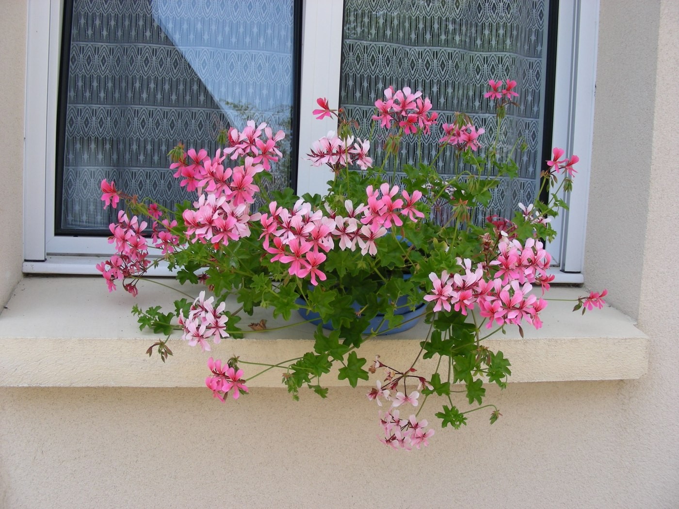 L'entrée de la maison