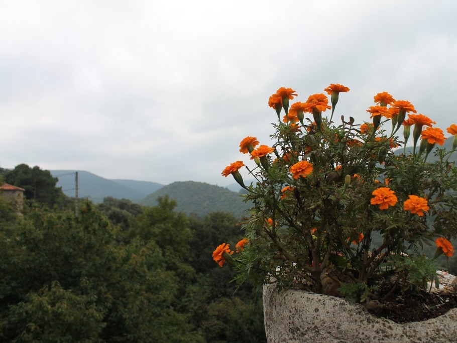 Photo n° 4 de la location