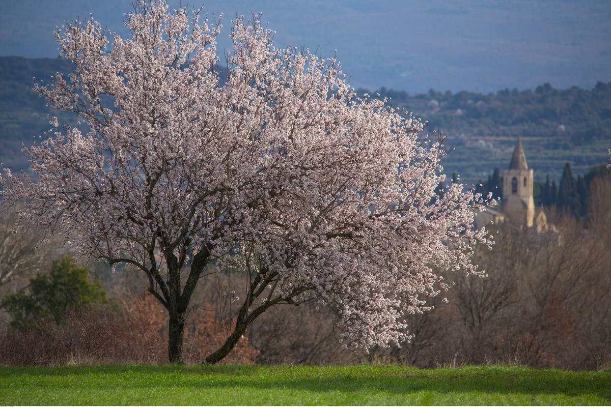 Paysage autour de Mazan©A.Hocquel/VPA