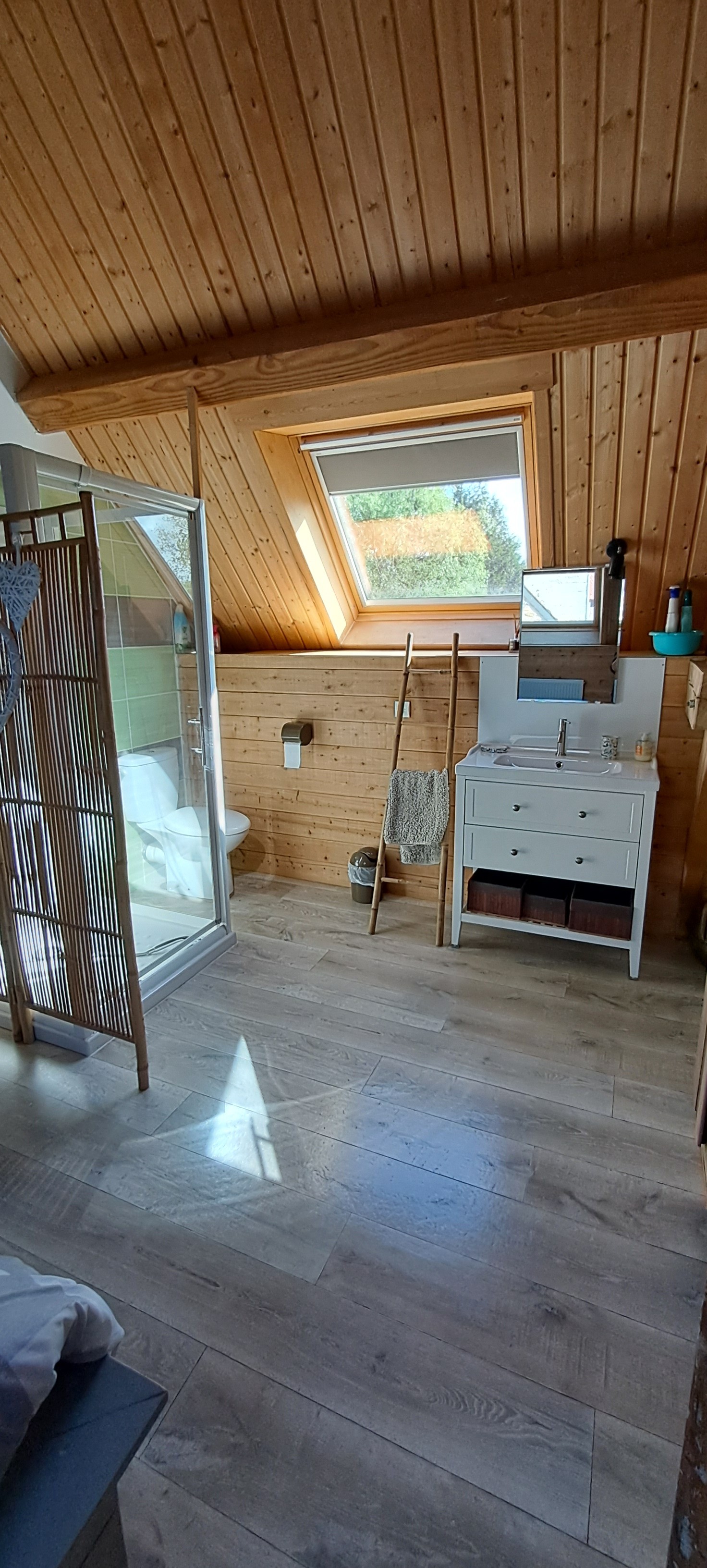 with private shower, WC and washbasin