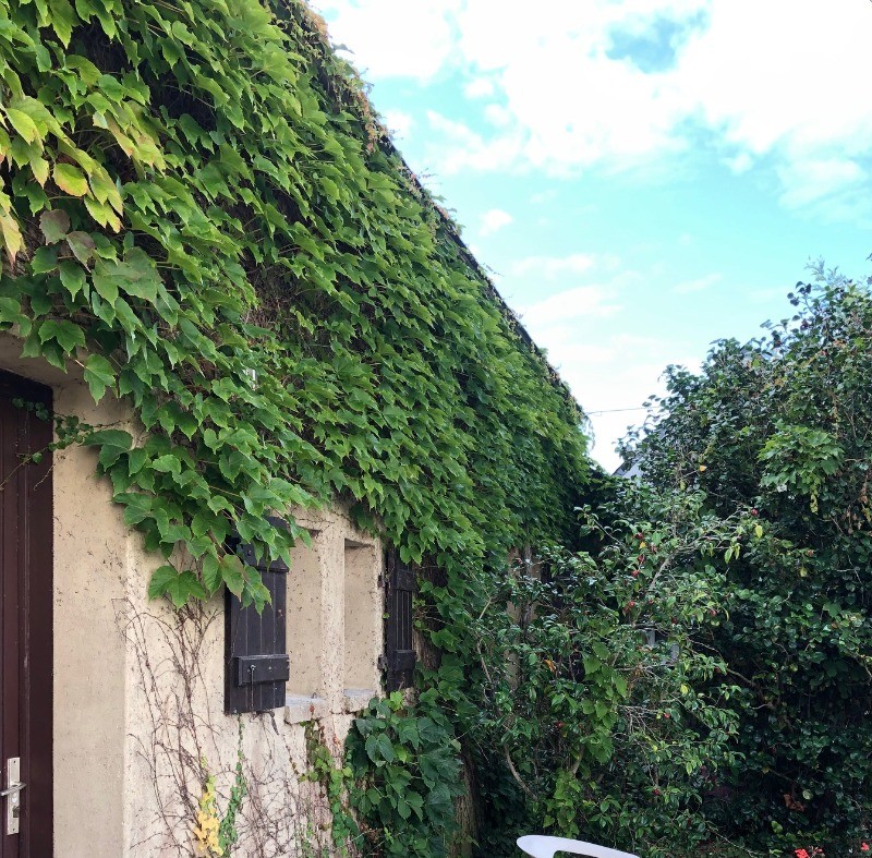 L'entrée de la maison