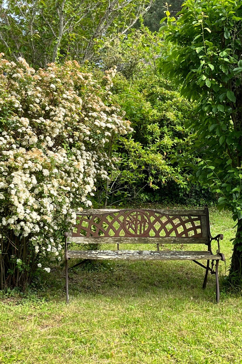 Photo n° 8 de la location