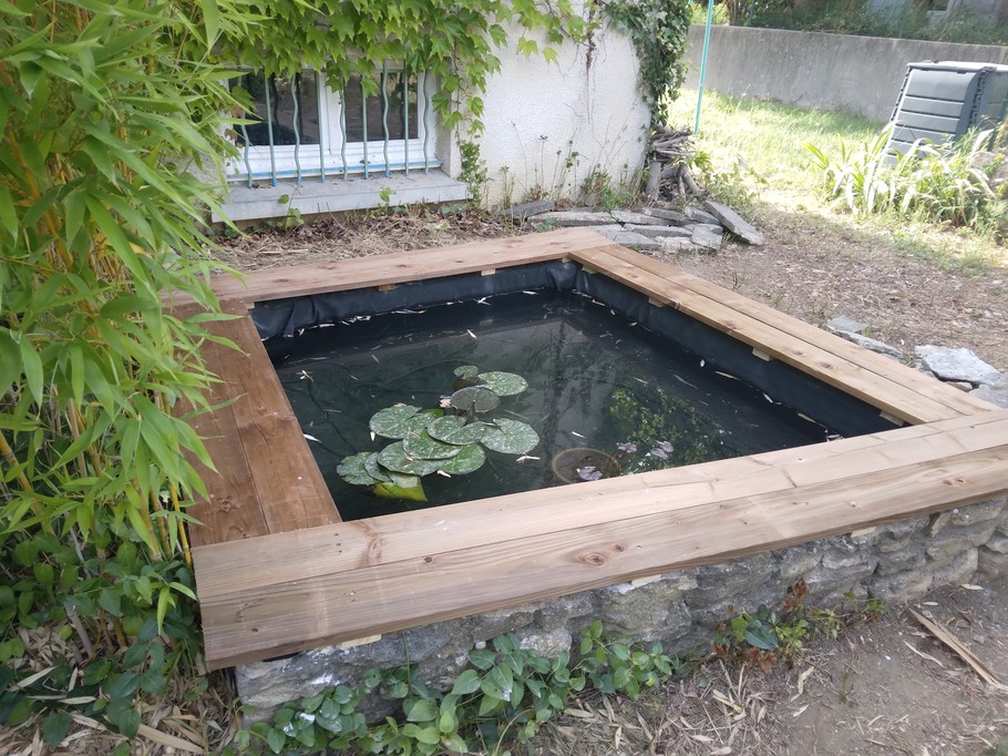 Un petit bassin à poissons