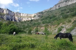 Image n° 4 de la location