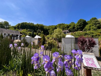 Photo n° 11 of the location