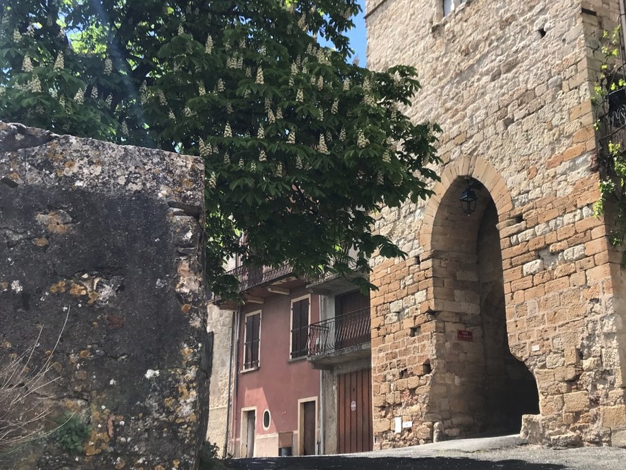 Castelnau de Montmiral (Tarn près de Toulouse) en Occitanie