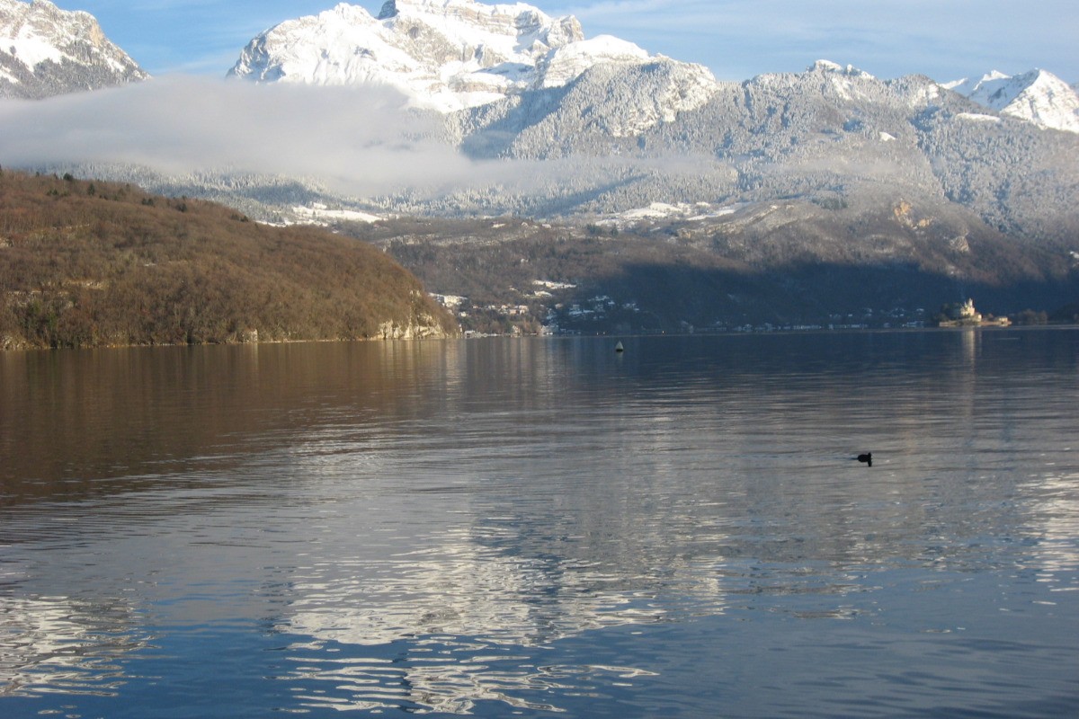 La tournette