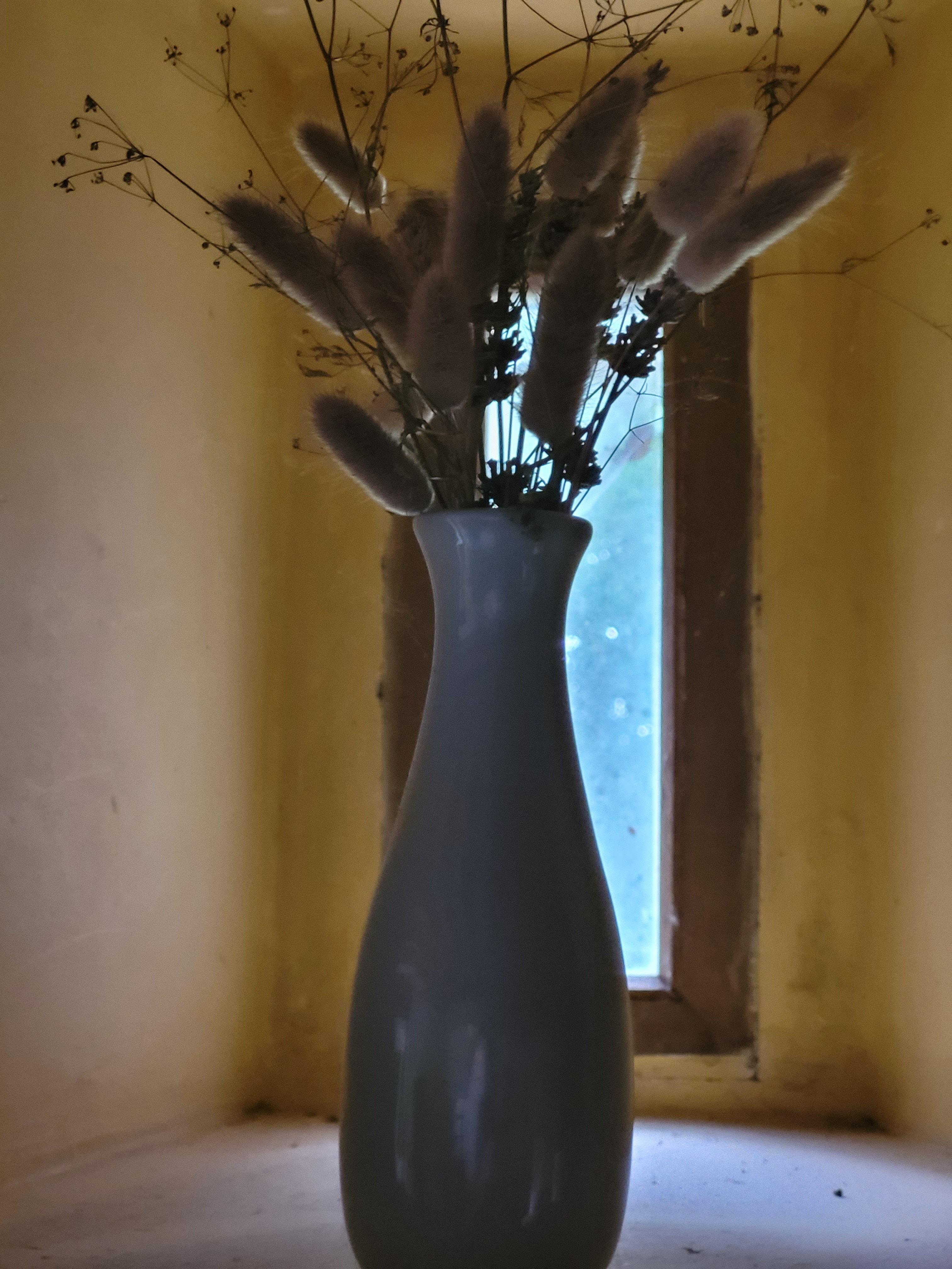 Photo n° 9 of the location