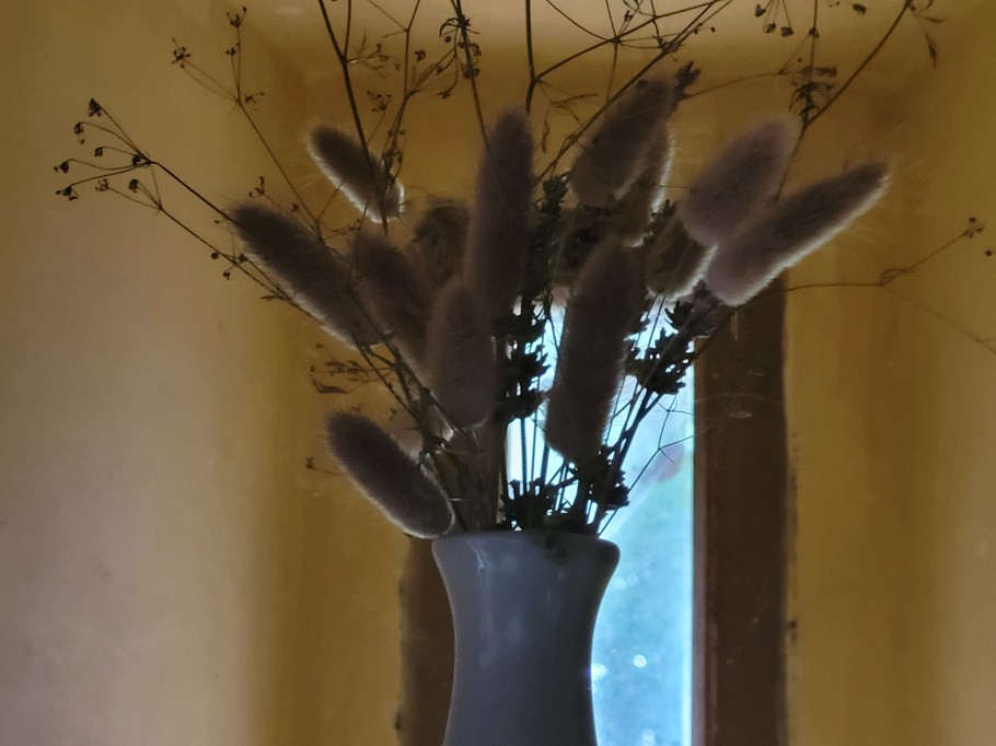 Photo n° 9 of the location