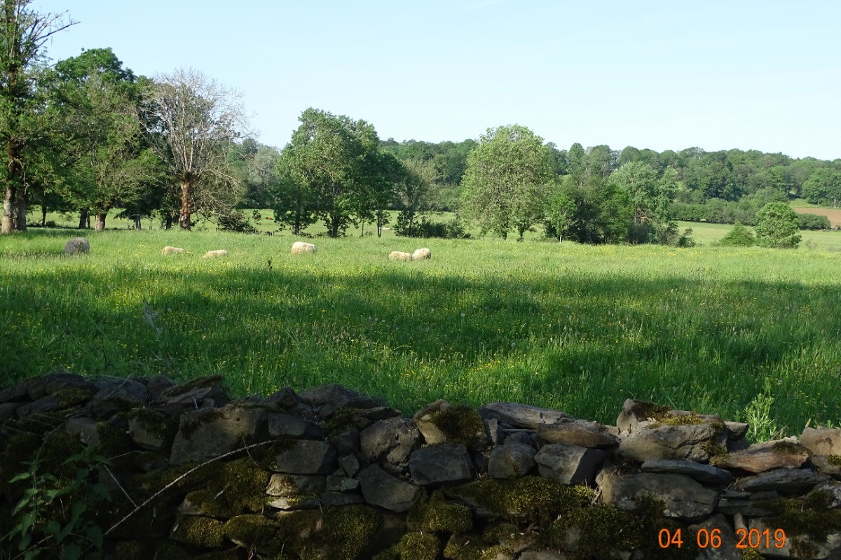 Photo n° 11 de la location