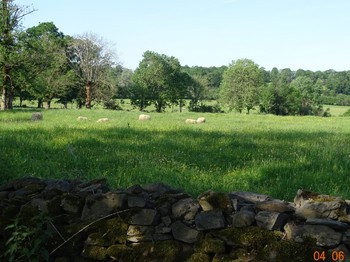 Photo n° 11 of the location